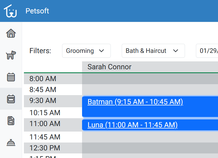 Preview of the Petsoft Application